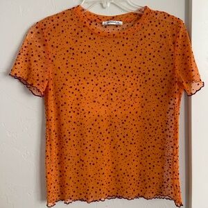 Zara Sheer Purple polka dot Orange Crop Top